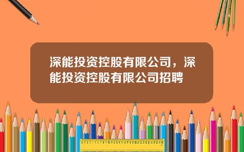 深能投资控股有限公司，深能投资控股有限公司招聘
