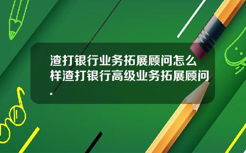 渣打银行业务拓展顾问怎么样渣打银行高级业务拓展顾问.