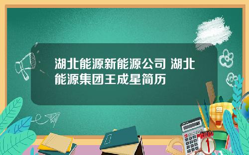 湖北能源新能源公司 湖北能源集团王成星简历