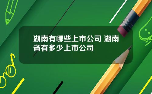 湖南有哪些上市公司 湖南省有多少上市公司