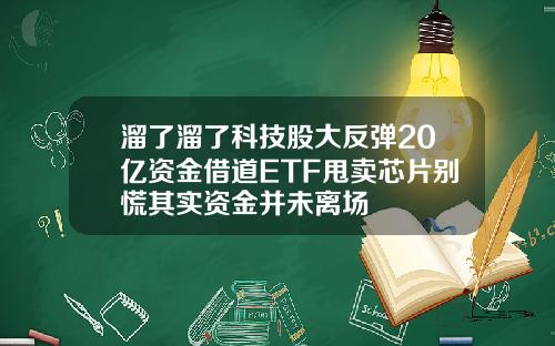 溜了溜了科技股大反弹20亿资金借道ETF甩卖芯片别慌其实资金并未离场