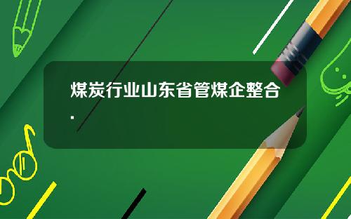 煤炭行业山东省管煤企整合.