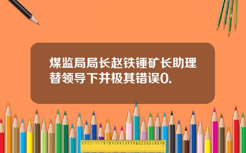 煤监局局长赵铁锤矿长助理替领导下井极其错误0.