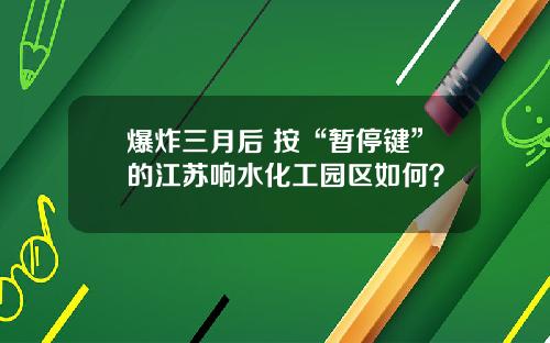 爆炸三月后 按“暂停键”的江苏响水化工园区如何？