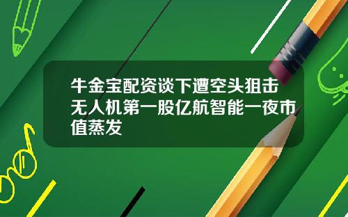 牛金宝配资谈下遭空头狙击无人机第一股亿航智能一夜市值蒸发