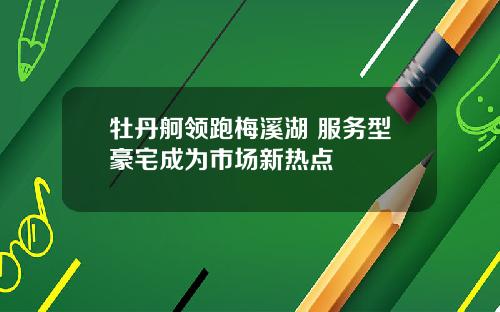 牡丹舸领跑梅溪湖 服务型豪宅成为市场新热点