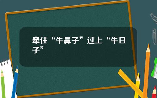 牵住“牛鼻子”过上“牛日子”