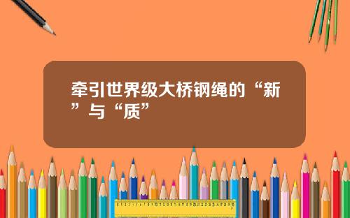 牵引世界级大桥钢绳的“新”与“质”