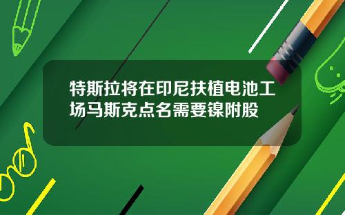 特斯拉将在印尼扶植电池工场马斯克点名需要镍附股