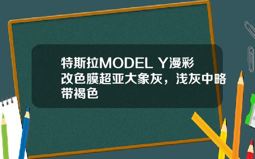 特斯拉MODEL Y漫彩改色膜超亚大象灰，浅灰中略带褐色