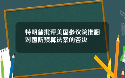特朗普批评美国参议院推翻对国防预算法案的否决
