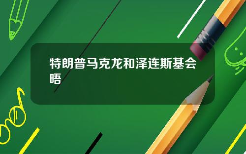 特朗普马克龙和泽连斯基会晤
