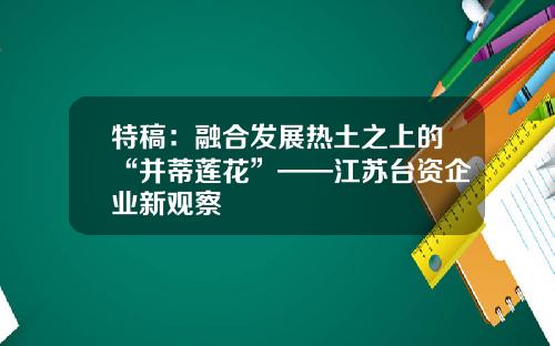 特稿：融合发展热土之上的“并蒂莲花”——江苏台资企业新观察