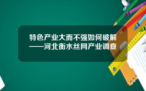 特色产业大而不强如何破解——河北衡水丝网产业调查