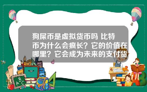 狗屎币是虚拟货币吗 比特币为什么会疯长？它的价值在哪里？它会成为未来的支付货币吗？