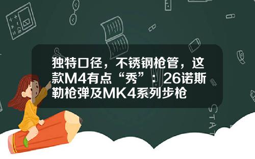 独特口径，不锈钢枪管，这款M4有点“秀”：26诺斯勒枪弹及MK4系列步枪