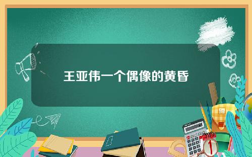 王亚伟一个偶像的黄昏