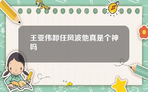 王亚伟卸任风波他真是个神吗