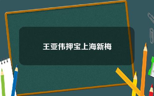王亚伟押宝上海新梅