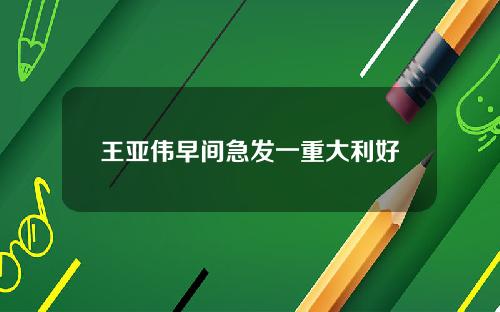 王亚伟早间急发一重大利好