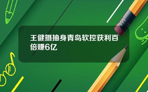 王健摄抽身青岛软控获利百倍赚6亿