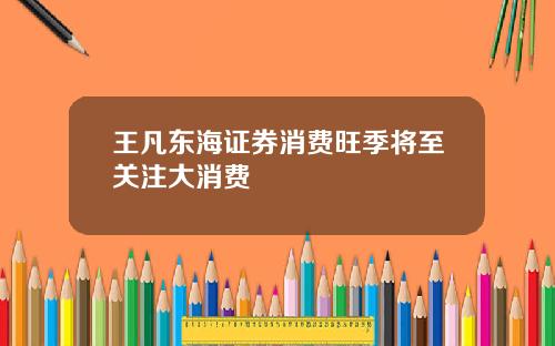 王凡东海证券消费旺季将至关注大消费