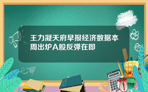 王力凝天府早报经济数据本周出炉A股反弹在即