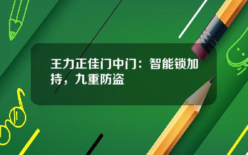 王力正佳门中门：智能锁加持，九重防盗