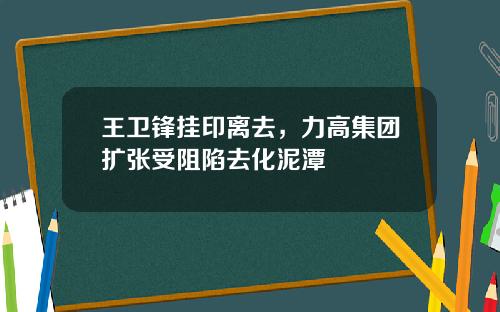 王卫锋挂印离去，力高集团扩张受阻陷去化泥潭