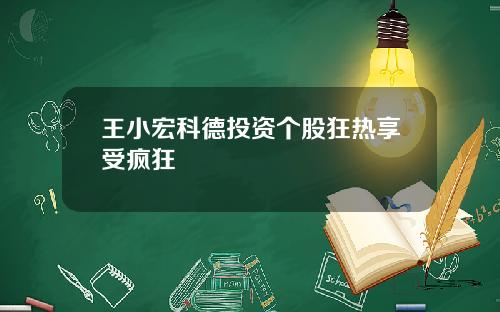 王小宏科德投资个股狂热享受疯狂