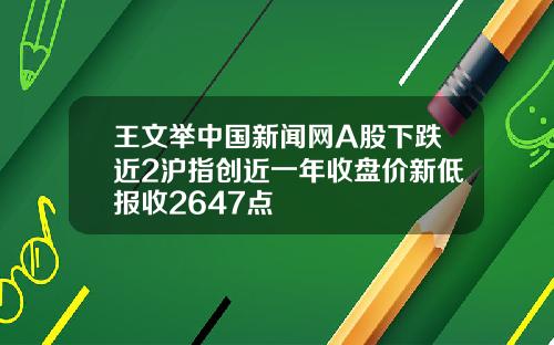 王文举中国新闻网A股下跌近2沪指创近一年收盘价新低报收2647点