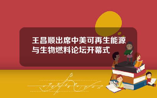 王昌顺出席中美可再生能源与生物燃料论坛开幕式