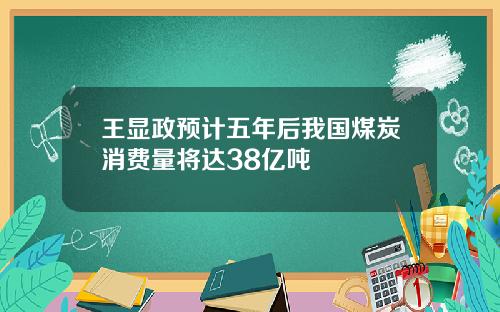 王显政预计五年后我国煤炭消费量将达38亿吨