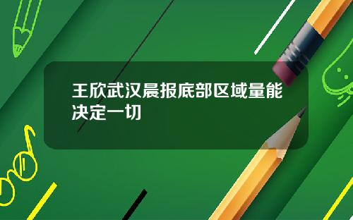 王欣武汉晨报底部区域量能决定一切