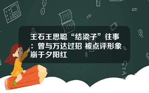 王石王思聪“结梁子”往事：曾与万达过招 被点评形象崩于夕阳红