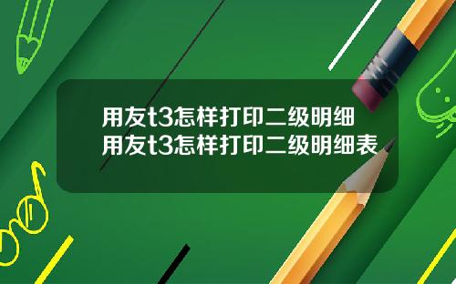 用友t3怎样打印二级明细用友t3怎样打印二级明细表