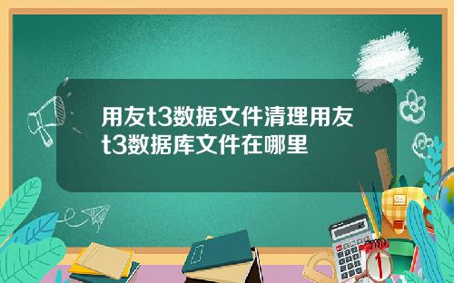 用友t3数据文件清理用友t3数据库文件在哪里