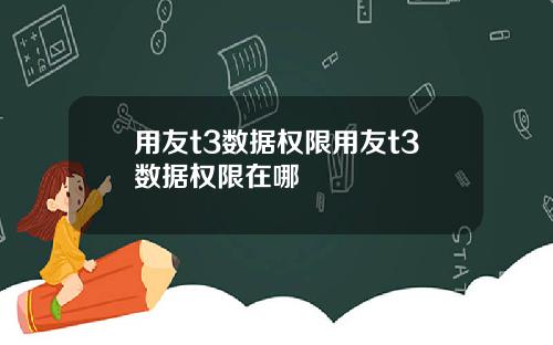 用友t3数据权限用友t3数据权限在哪