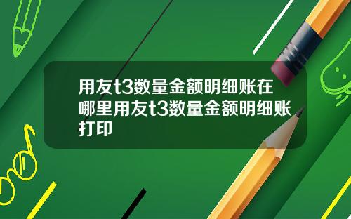 用友t3数量金额明细账在哪里用友t3数量金额明细账打印