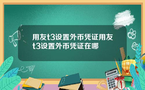 用友t3设置外币凭证用友t3设置外币凭证在哪