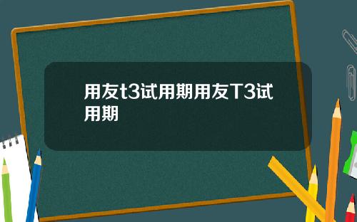用友t3试用期用友T3试用期