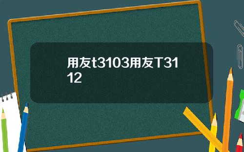 用友t3103用友T3112