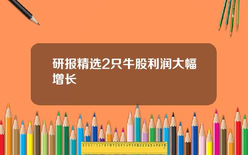 研报精选2只牛股利润大幅增长
