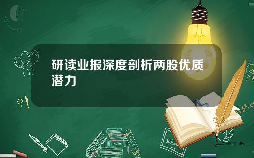 研读业报深度剖析两股优质潜力