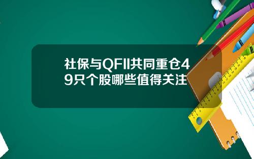 社保与QFII共同重仓49只个股哪些值得关注