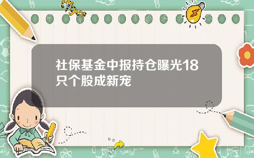 社保基金中报持仓曝光18只个股成新宠