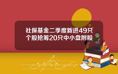 社保基金二季度新进49只个股抢筹20只中小盘附股