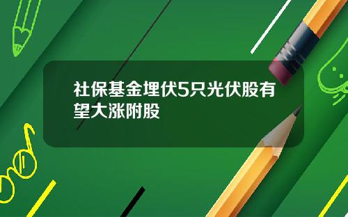 社保基金埋伏5只光伏股有望大涨附股