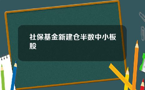 社保基金新建仓半数中小板股