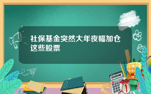 社保基金突然大年夜幅加仓这些股票